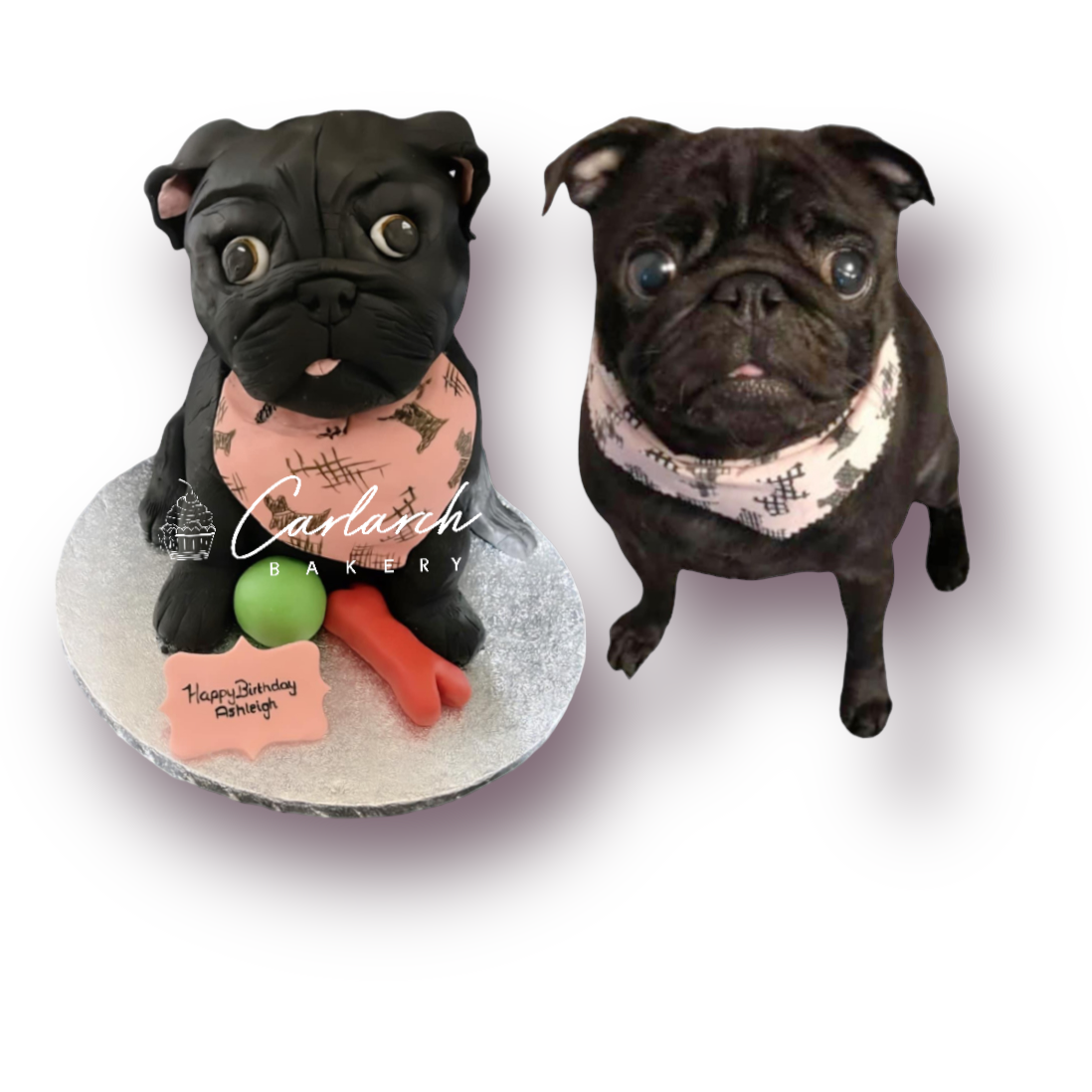 3d sales pug cake