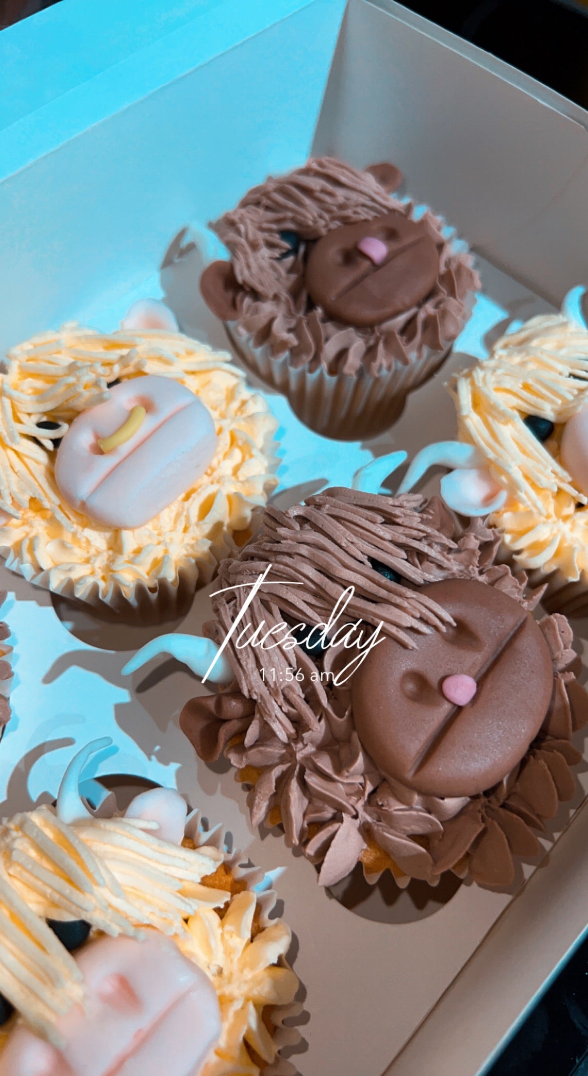 Custom Cupcakes